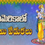 Sri Rama Navami 2018 Grand Celebrations By Tri State Telugu Association In Chicago