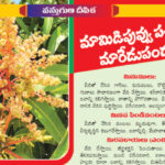 వస్తుగుణ దీపిక